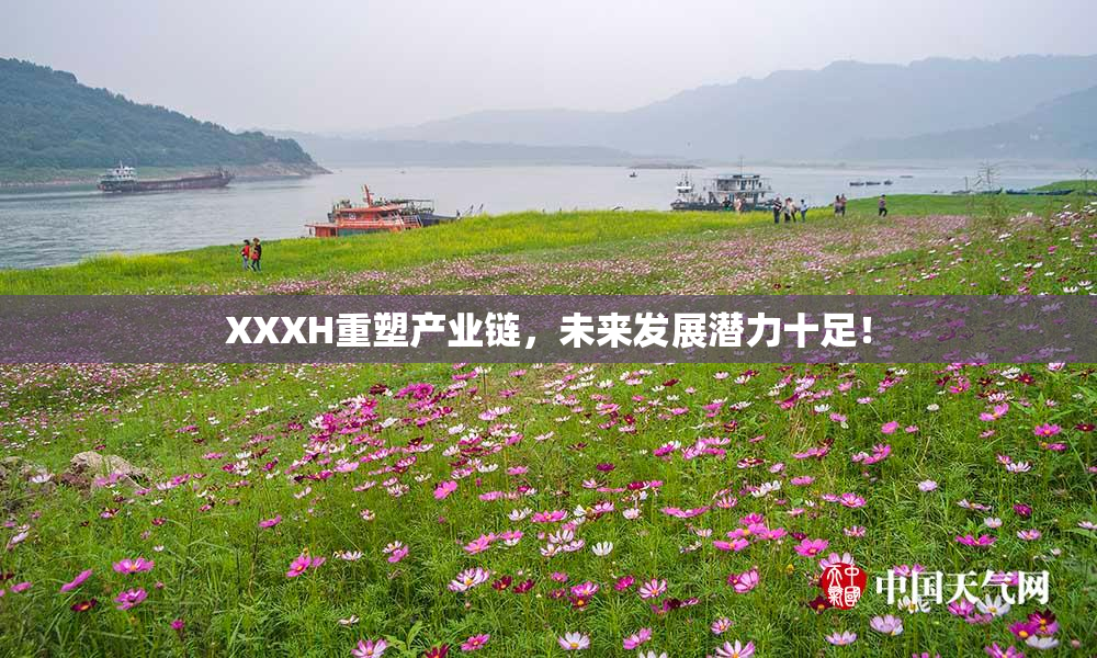 XXXH重塑产业链，未来发展潜力十足！