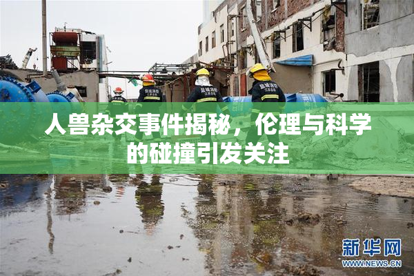 人兽杂交事件揭秘，伦理与科学的碰撞引发关注