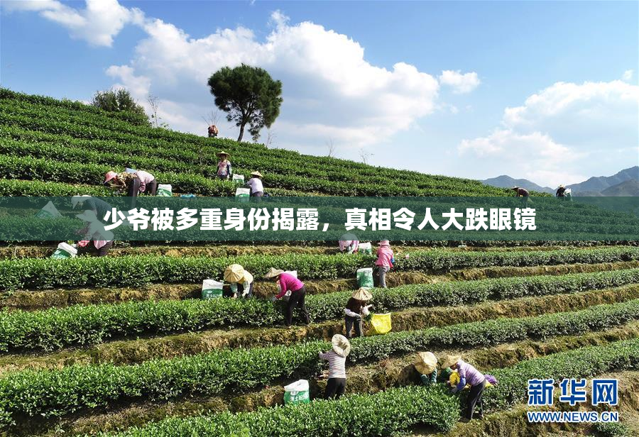 少爷被多重身份揭露，真相令人大跌眼镜