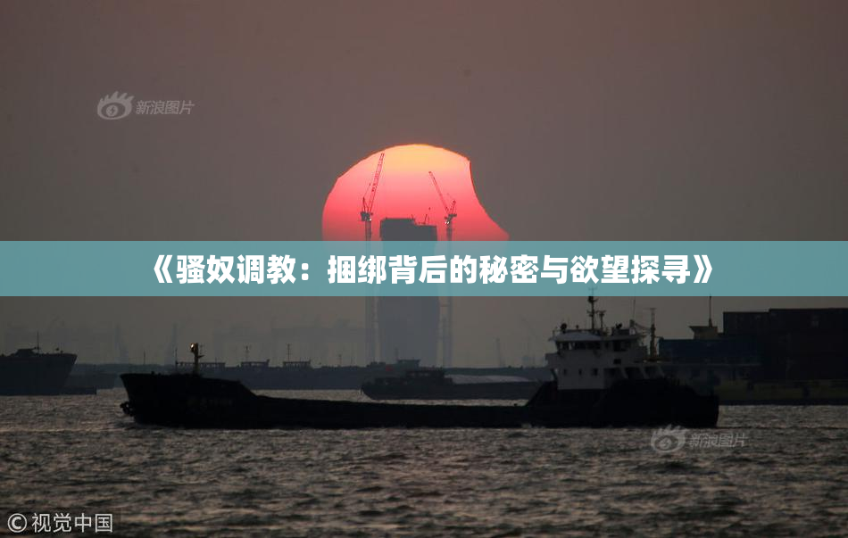《骚奴调教：捆绑背后的秘密与欲望探寻》