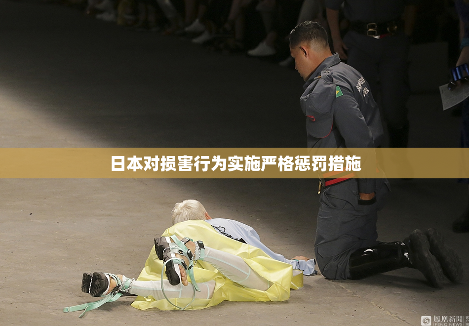 日本对损害行为实施严格惩罚措施