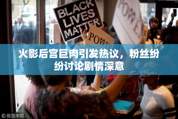 火影后宫巨肉引发热议，粉丝纷纷讨论剧情深意