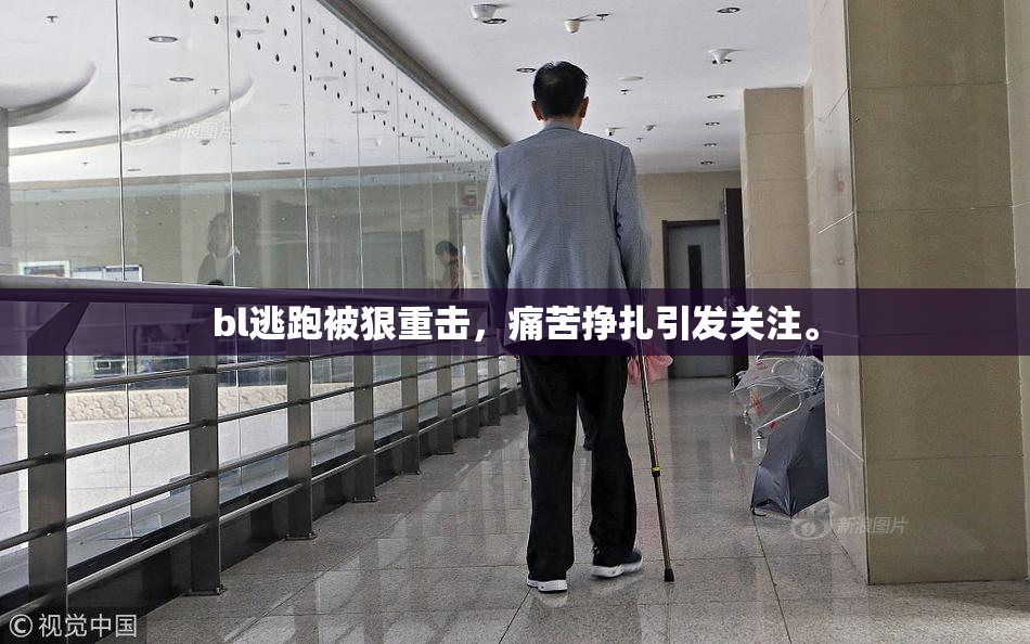 bl逃跑被狠重击，痛苦挣扎引发关注。
