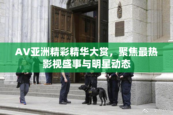 AV亚洲精彩精华大赏，聚焦最热影视盛事与明星动态