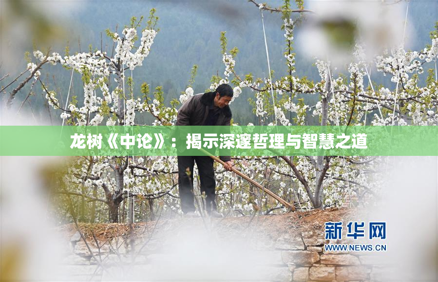 龙树《中论》：揭示深邃哲理与智慧之道