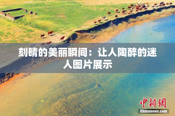 刻晴的美丽瞬间：让人陶醉的迷人图片展示