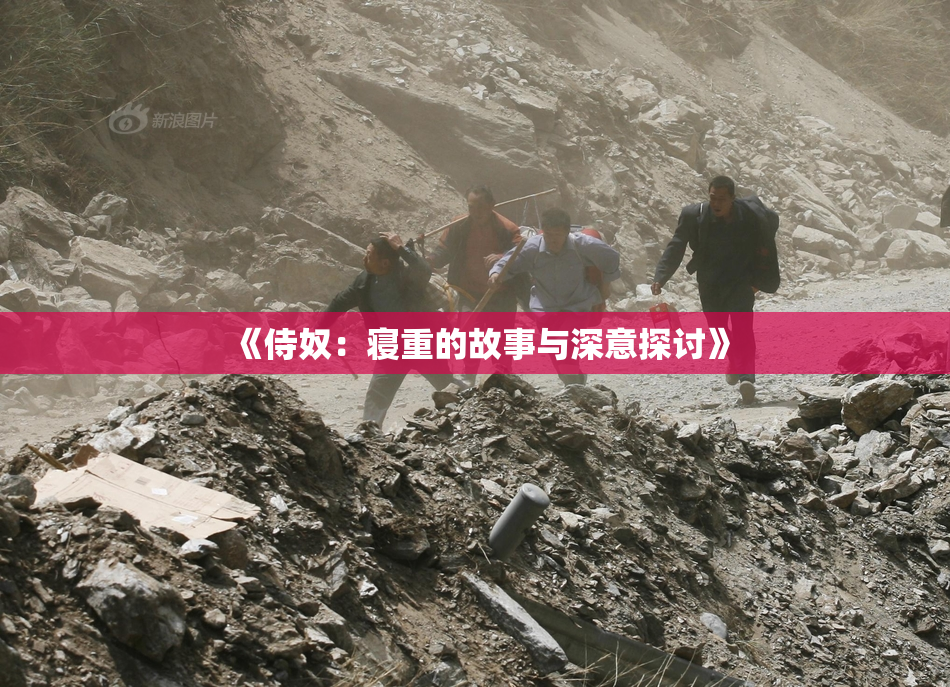 《侍奴：寝重的故事与深意探讨》