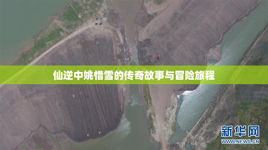 仙逆中姚惜雪的传奇故事与冒险旅程
