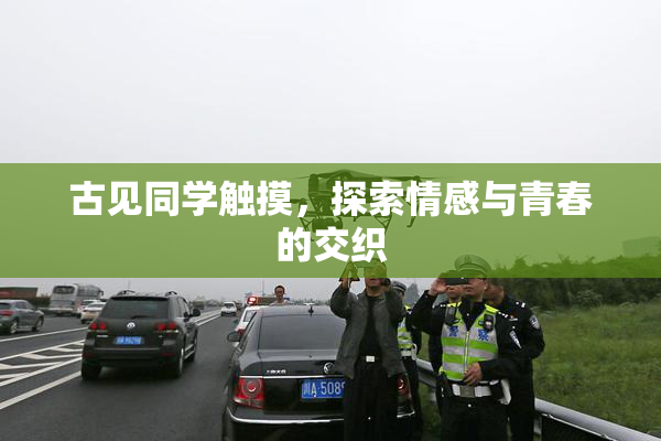 古见同学触摸，探索情感与青春的交织