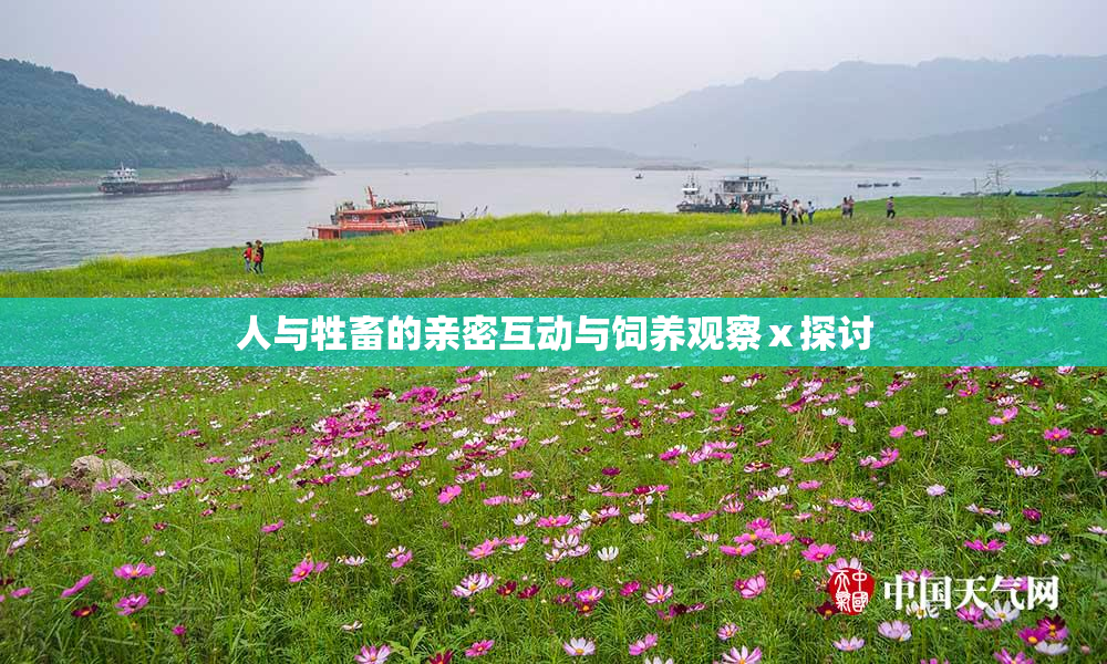 人与牲畜的亲密互动与饲养观察ⅹ探讨