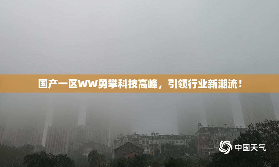 国产一区WW勇攀科技高峰，引领行业新潮流！