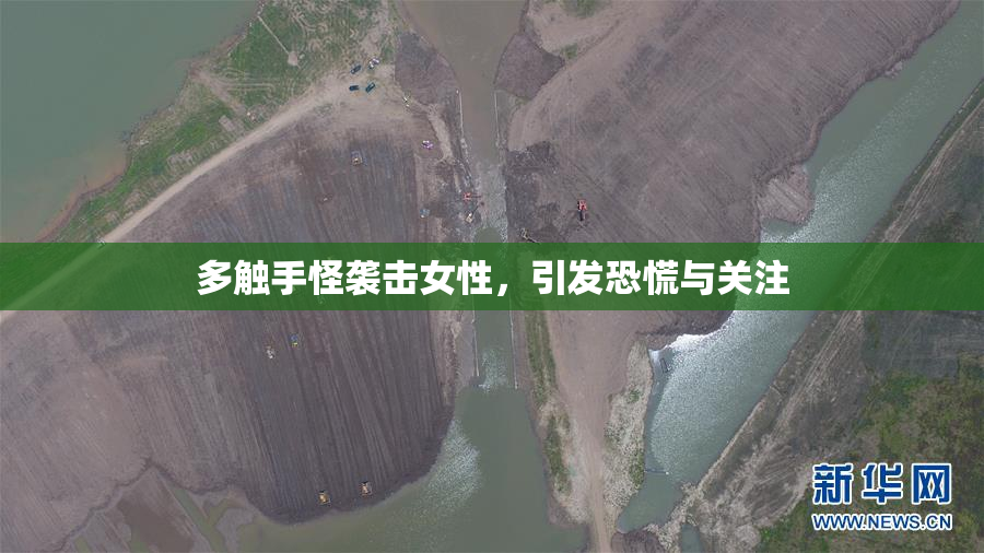 多触手怪袭击女性，引发恐慌与关注