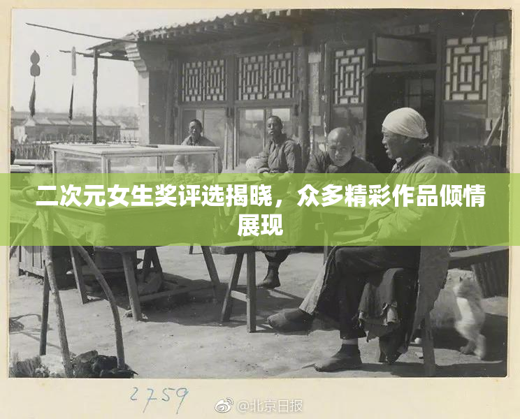 二次元女生奖评选揭晓，众多精彩作品倾情展现