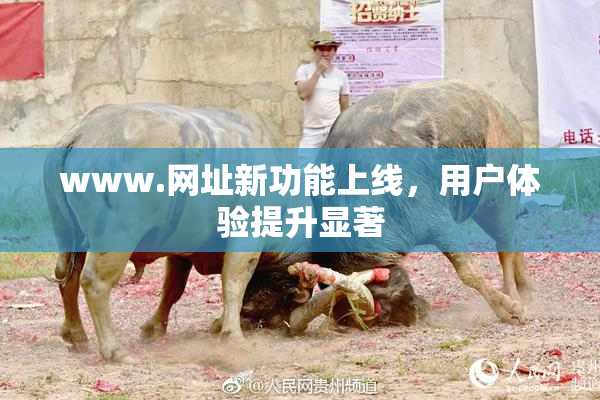 www.网址新功能上线，用户体验提升显著