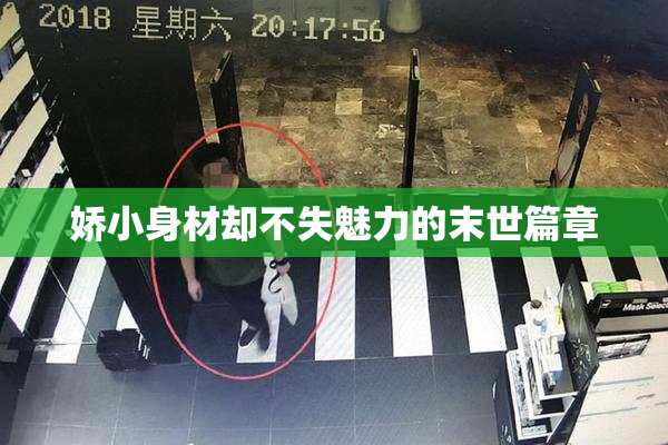 娇小身材却不失魅力的末世篇章