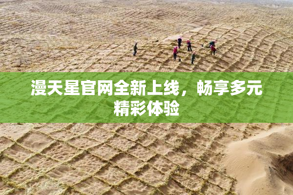 漫天星官网全新上线，畅享多元精彩体验