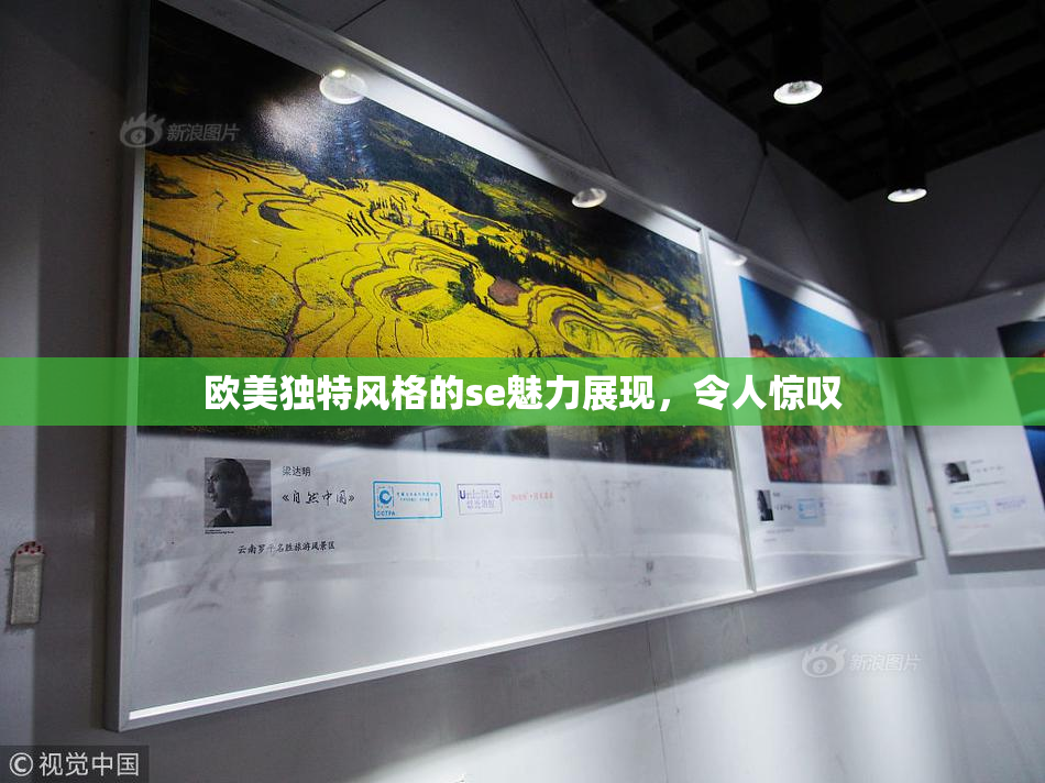 欧美独特风格的se魅力展现，令人惊叹