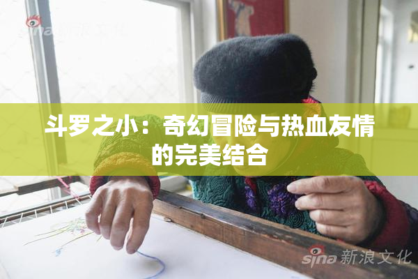 斗罗之小：奇幻冒险与热血友情的完美结合