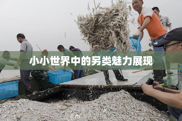 小小世界中的另类魅力展现
