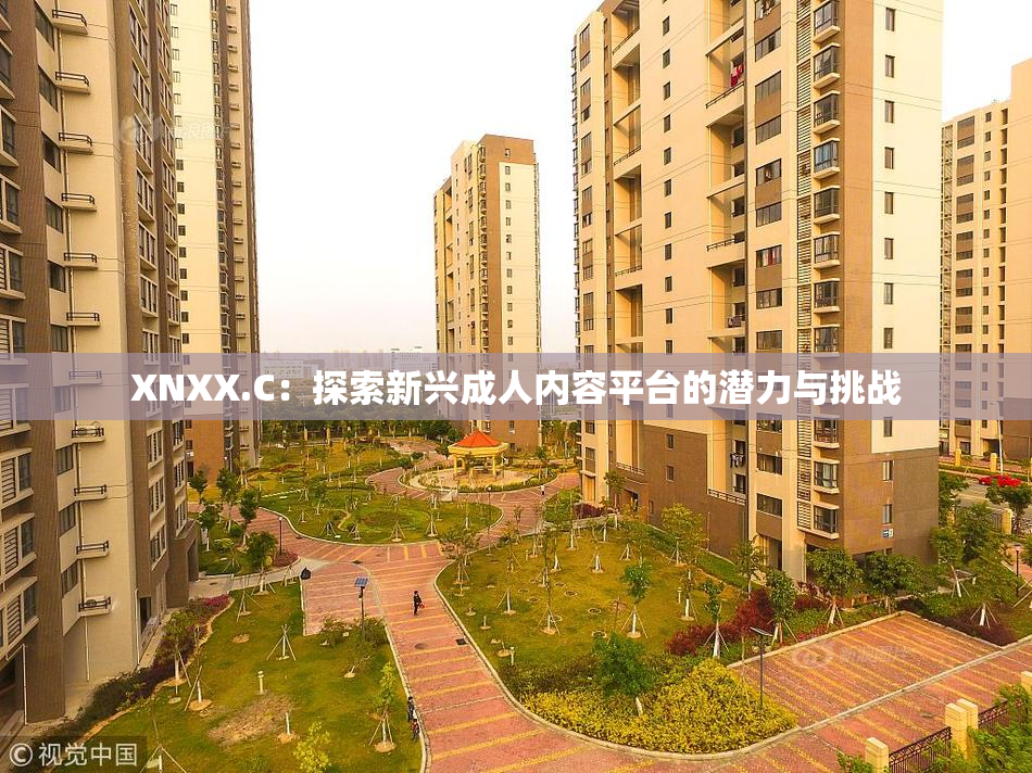 XNXX.C：探索新兴成人内容平台的潜力与挑战