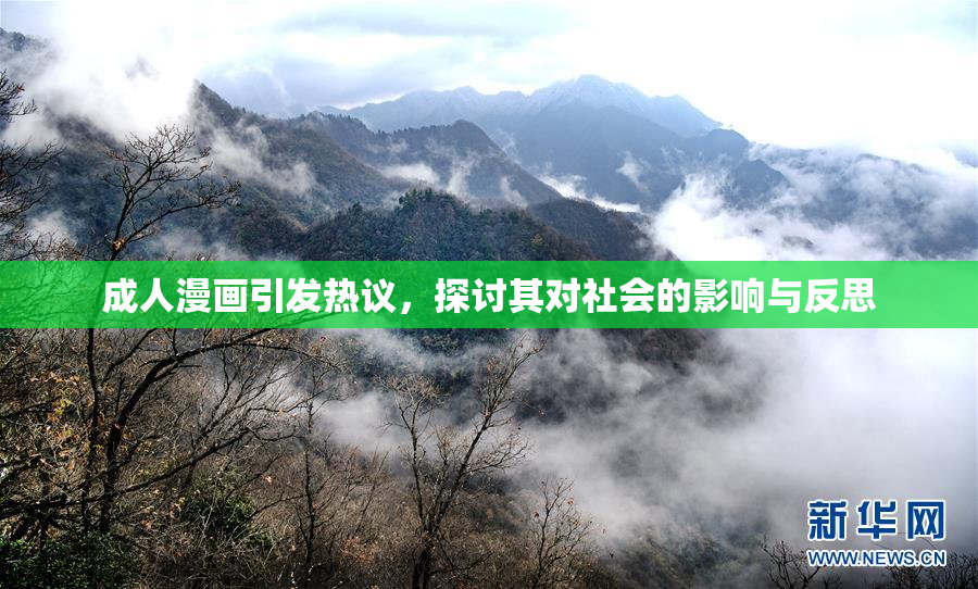 成人漫画引发热议，探讨其对社会的影响与反思