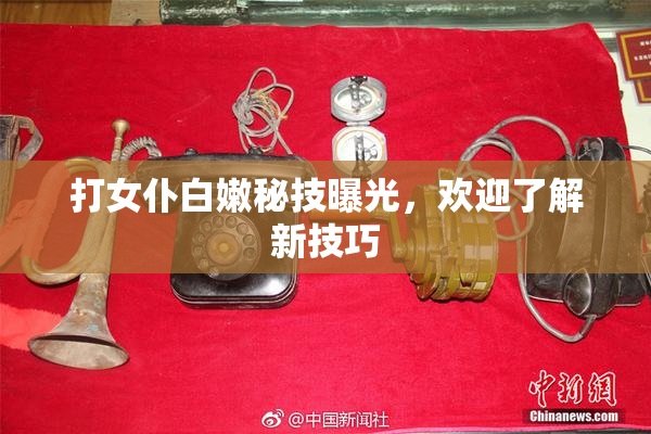 打女仆白嫩秘技曝光，欢迎了解新技巧