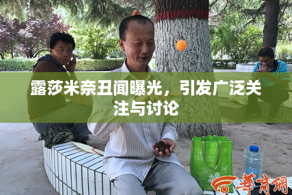 露莎米奈丑闻曝光，引发广泛关注与讨论