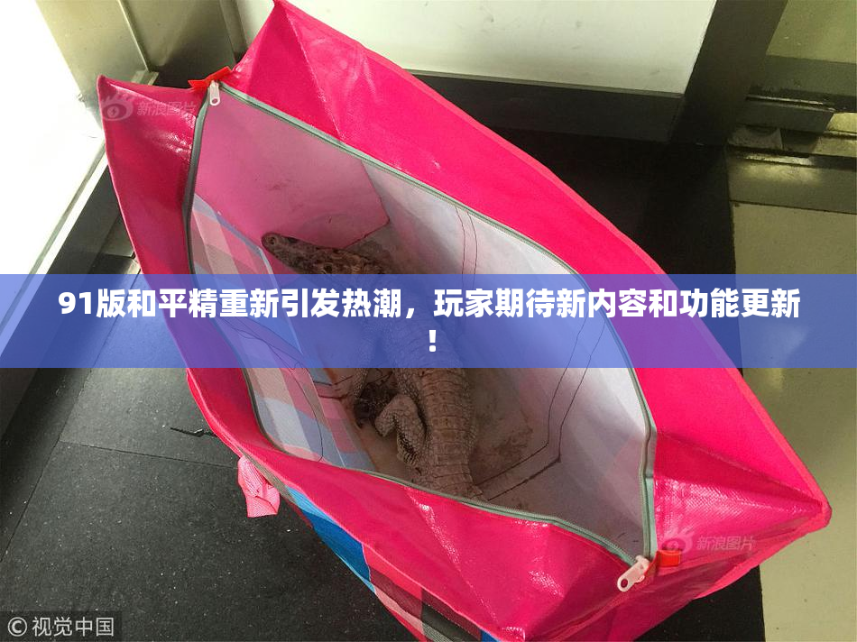 91版和平精重新引发热潮，玩家期待新内容和功能更新！