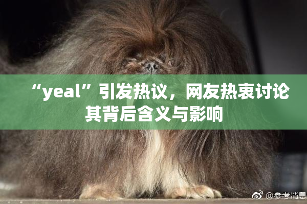 “yeal”引发热议，网友热衷讨论其背后含义与影响