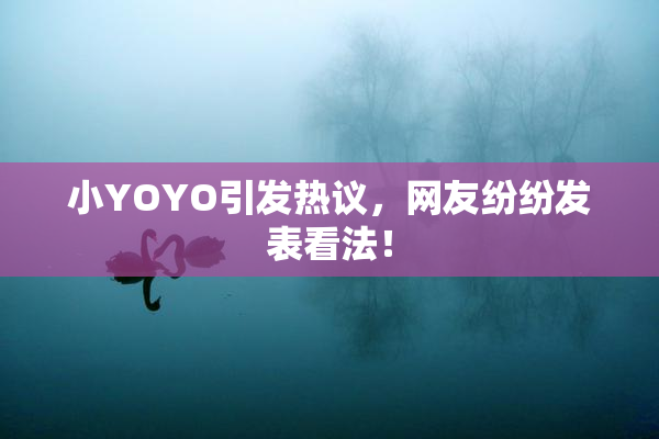 小YOYO引发热议，网友纷纷发表看法！