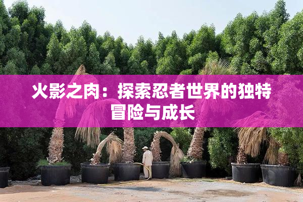 火影之肉：探索忍者世界的独特冒险与成长