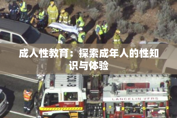 成人性教育：探索成年人的性知识与体验