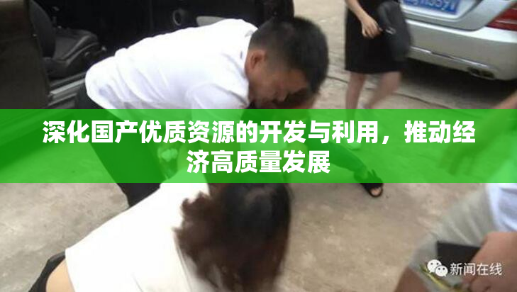 深化国产优质资源的开发与利用，推动经济高质量发展