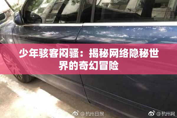 少年骇客闷骚：揭秘网络隐秘世界的奇幻冒险