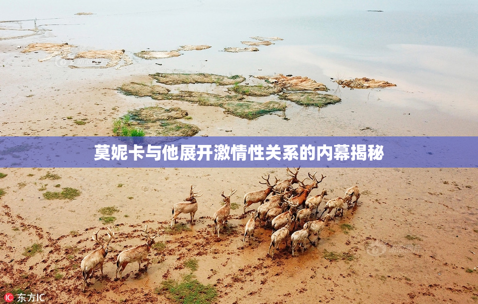 莫妮卡与他展开激情性关系的内幕揭秘