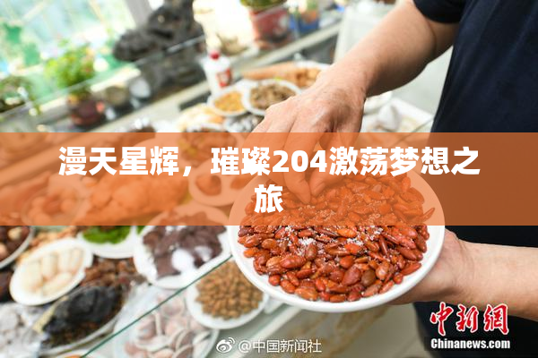 漫天星辉，璀璨204激荡梦想之旅