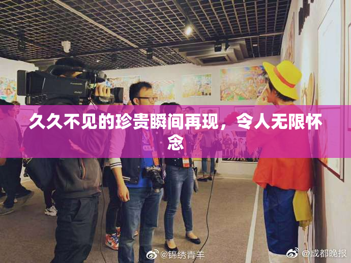久久不见的珍贵瞬间再现，令人无限怀念