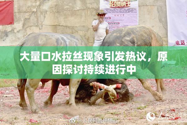 大量口水拉丝现象引发热议，原因探讨持续进行中