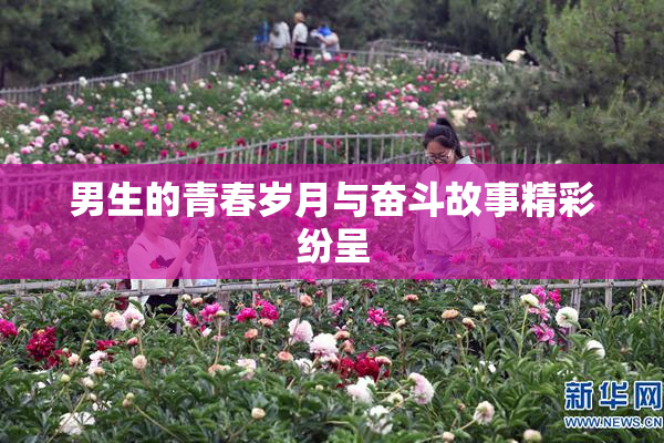 男生的青春岁月与奋斗故事精彩纷呈