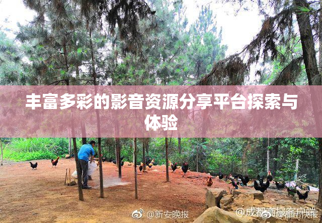 丰富多彩的影音资源分享平台探索与体验