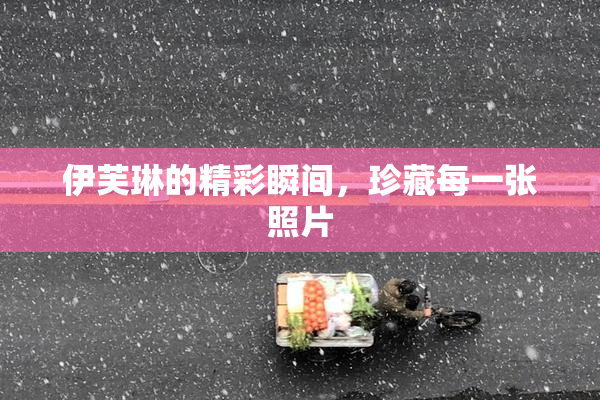 伊芙琳的精彩瞬间，珍藏每一张照片