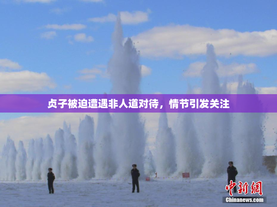 贞子被迫遭遇非人道对待，情节引发关注