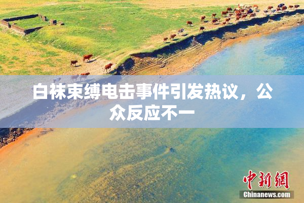 白袜束缚电击事件引发热议，公众反应不一