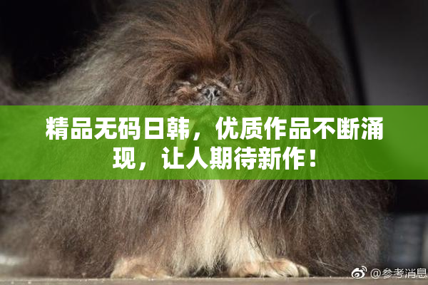 精品无码日韩，优质作品不断涌现，让人期待新作！