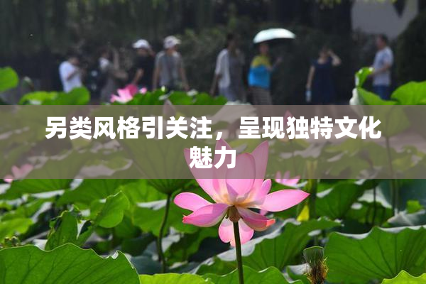 另类风格引关注，呈现独特文化魅力