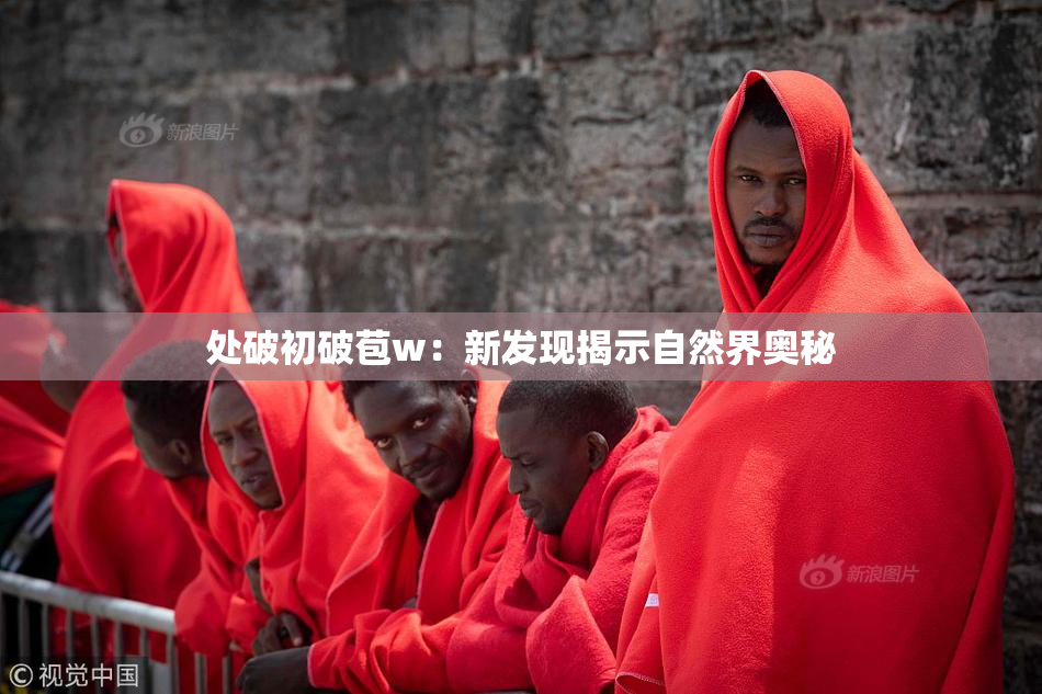 处破初破苞w：新发现揭示自然界奥秘
