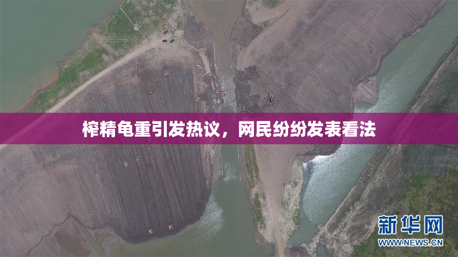 榨精龟重引发热议，网民纷纷发表看法