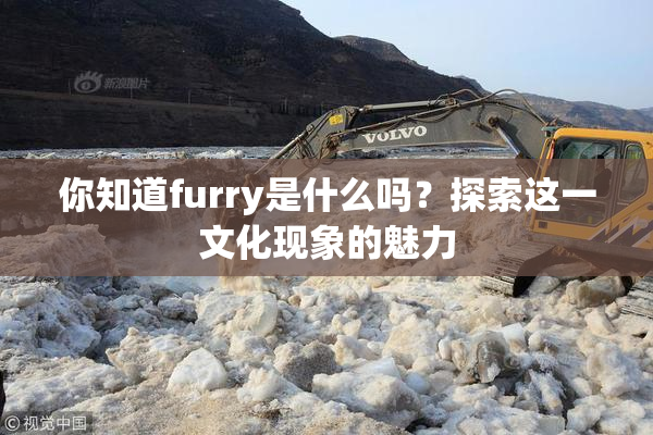 你知道furry是什么吗？探索这一文化现象的魅力
