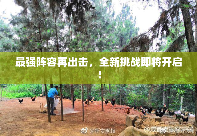 最强阵容再出击，全新挑战即将开启！