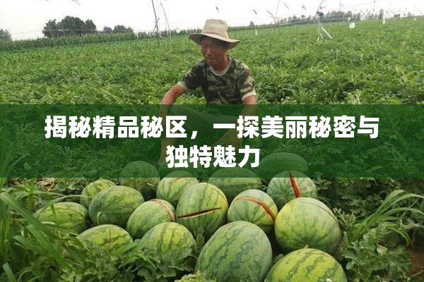 揭秘精品秘区，一探美丽秘密与独特魅力